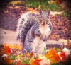 Caught in the Act (Photo by Mackenzie Lowe)